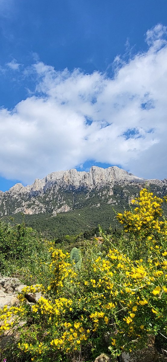 Passeggiate al #montecorrasi #Corrasi #Oliena #Sardegna #Italia