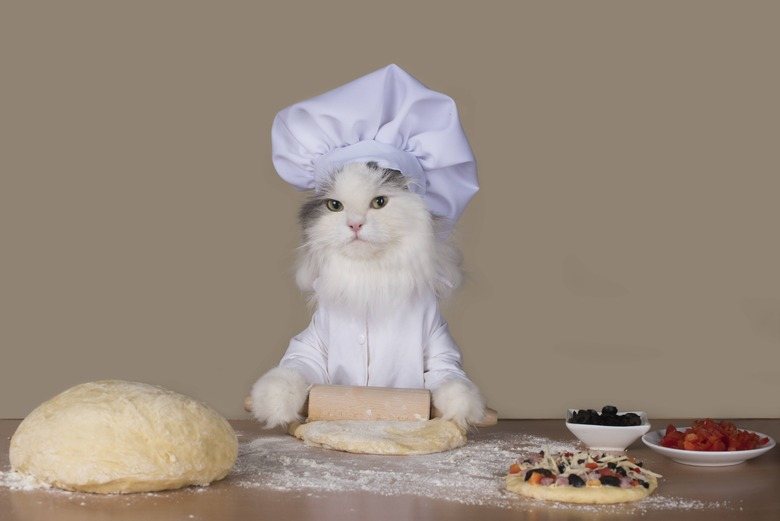CatWorkers's tweet photo. https://t.co/cyA4sGAuyA