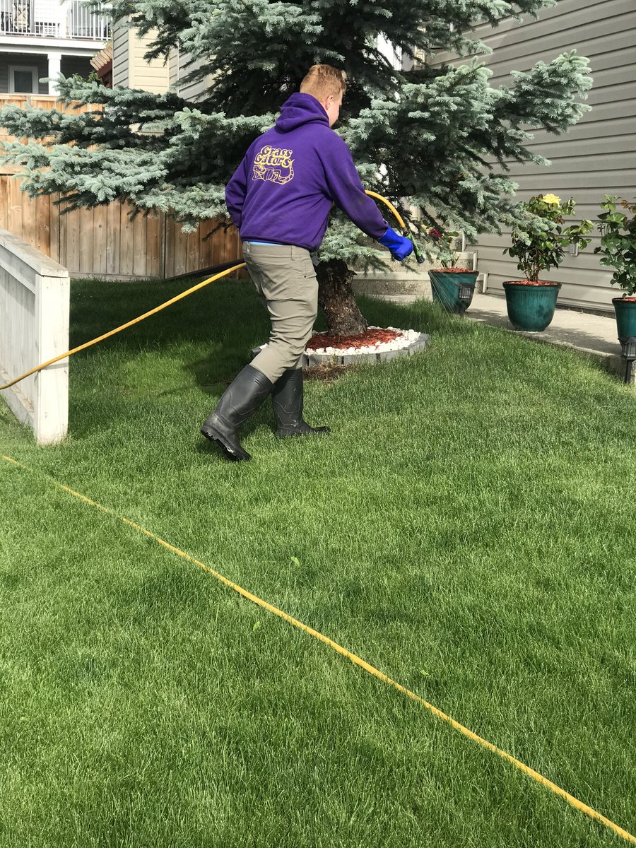 grassgatorsyyc's tweet photo. Big spring sale book your weed control and fertilizer online. https://t.co/6Rnoru7zE2
#calgary #yyceats #calgarysun #yyclife #calgarylife #ctvnewscalgary #calgarybuzz #airdrie #calgarystampede #shoplocalyyc #yyctoday #yycbuzz #yyclocal #yycstyle #yycbusiness #calgaryliving https://t.co/NYb9U5ey8t