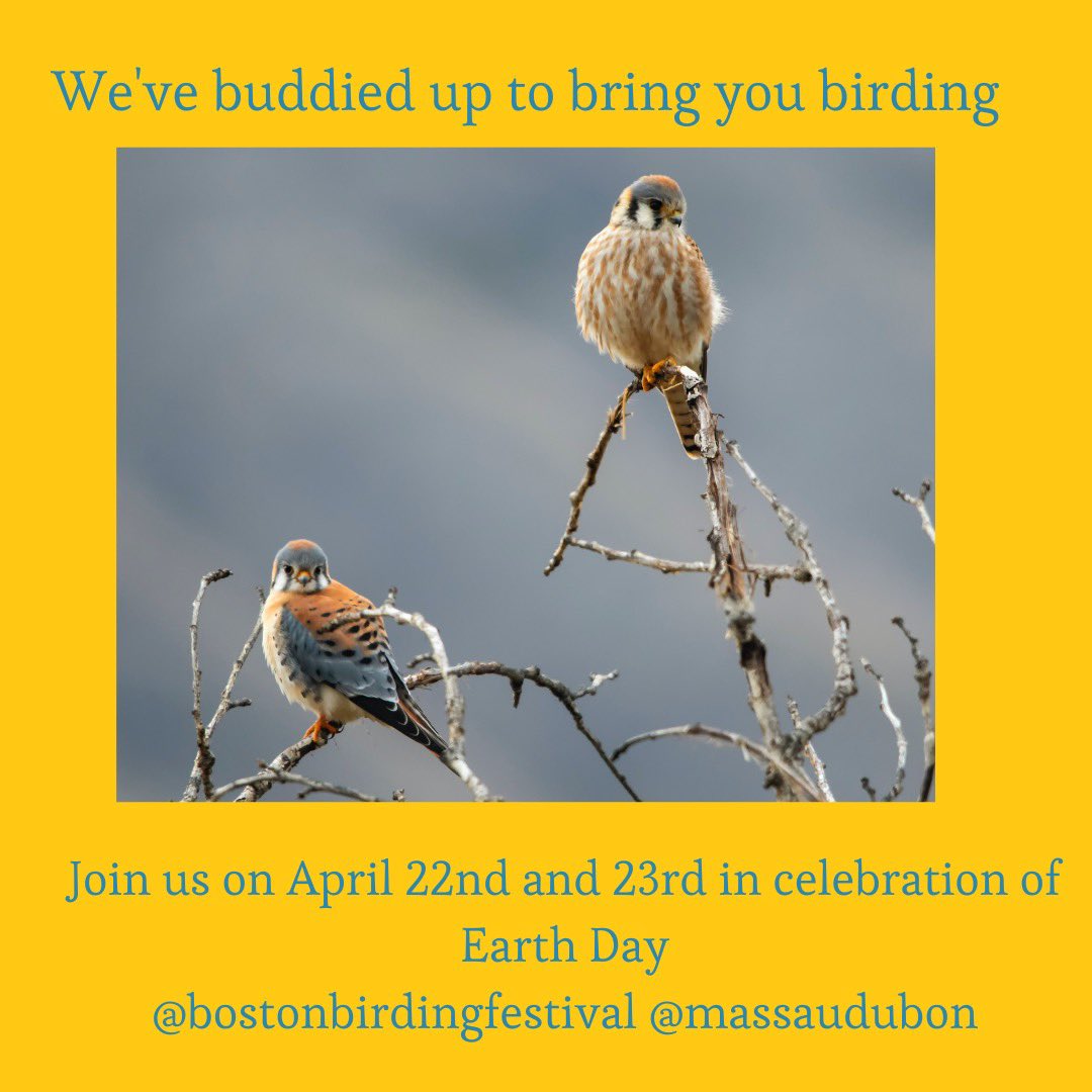 Beginning Birding at Magazine Beach and Birding at Alewife Brooks Reservation are available for sign up on eventbrite 
Space is limited! Grab your spot! 
#cambridgema #EarthDay #birding