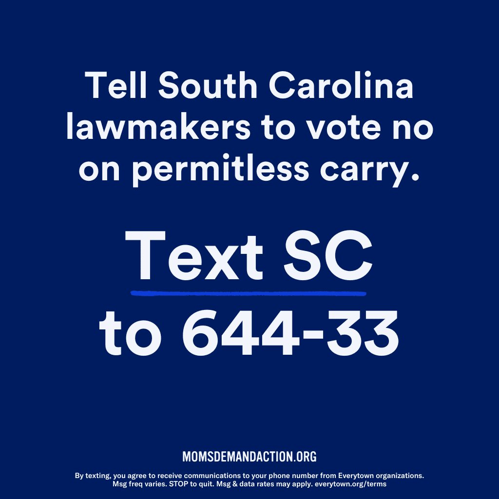 #SCLeg wants to pass Permitless Carry bill. Because eliminating training, background checks, permits and lowering from 21 to 18 the age to carry a handgun in public is going to help reduce gun violence,  right?  Text SC to 644-33 to tell your Senator you oppose H 3594. #SCPol