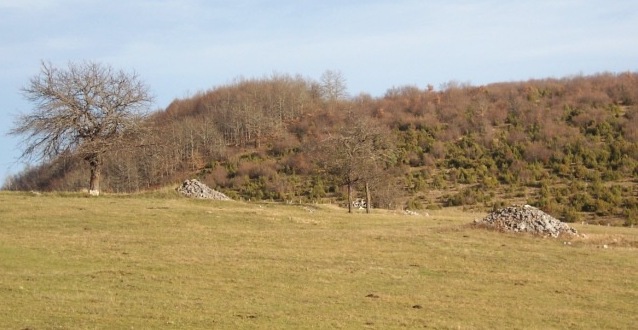 BosnianHistory's tweet photo. The Glasinac culture, named after the #Glasinac plateau thrived during the Iron Age between the 8th and 4th centuries BCE. Known for their distinctive burial mounds, or #tumuli, the Glasinac people left behind a rich material culture, including weapons, jewelry, and pottery. https://t.co/p5R1UKTy5i