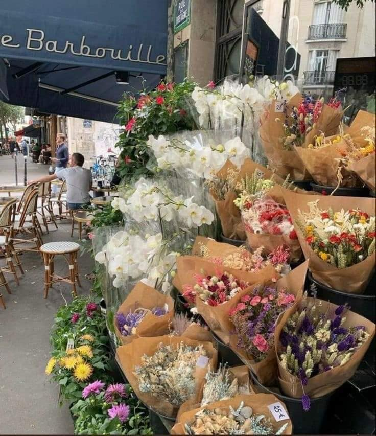 prettiestavenue's tweet photo. in love with flowers 💐 https://t.co/EwP95JqQtn