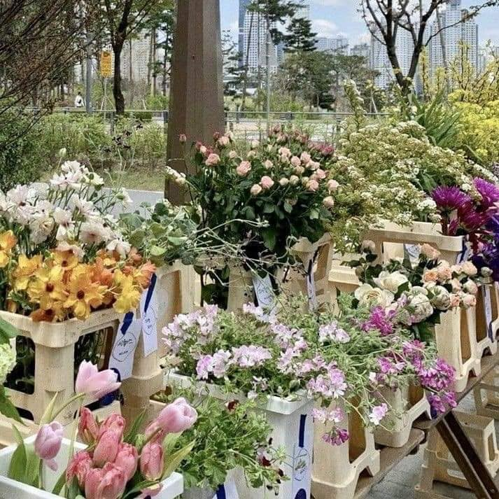 prettiestavenue's tweet photo. in love with flowers 💐 https://t.co/EwP95JqQtn