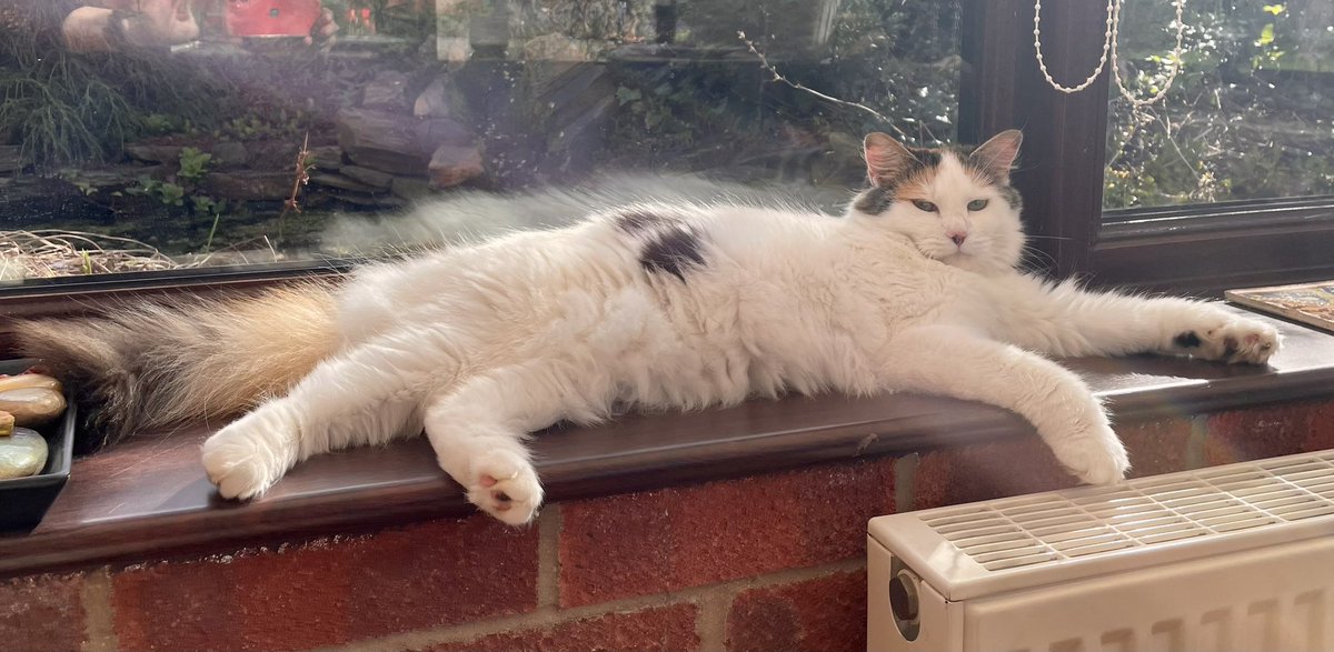 Hope you have all had a Happy Easter - mine has been wretched as all hominids went away to visit grandparents and I have been stuck inside with only automatic cat feeders for company.Hominids are back now though and all are happy to see me so I am gracing them with my presence 😺