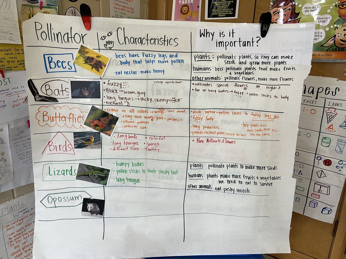 MooreDMPS's tweet photo. Knowledgeable Secomd graders β¦@MooreDMPSβ© showing what they are learning! #lovemoore #learnmoore https://t.co/5U6Fz0RFfd