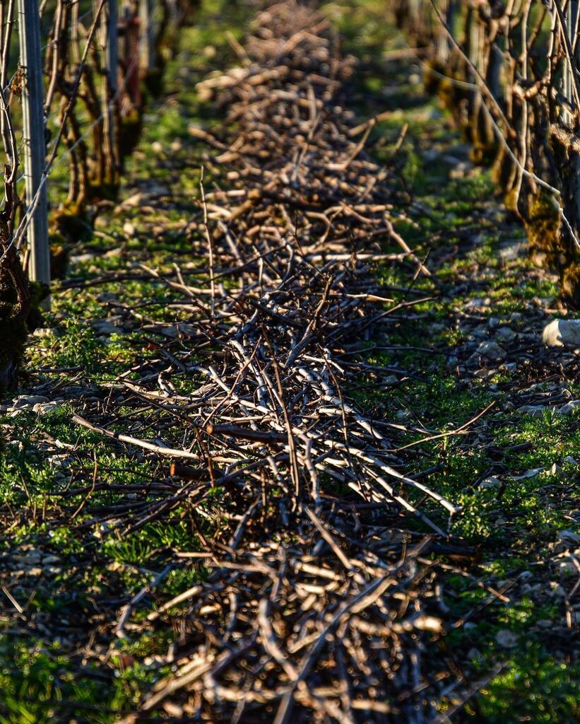 Happy Easter! 
-
Follow us 👇⁠
@champagnegremillet⁠
@champagnegremillet⁠
-⁠
#champagnegremillet #gremilletsuccess #gremillet⁠ #1success1gremillet⁠ 
-⁠
Not intended to be seen by persons under the legal alcohol dinking age or in countries with rest… instagr.am/p/Cq2_Hj0tAPj/