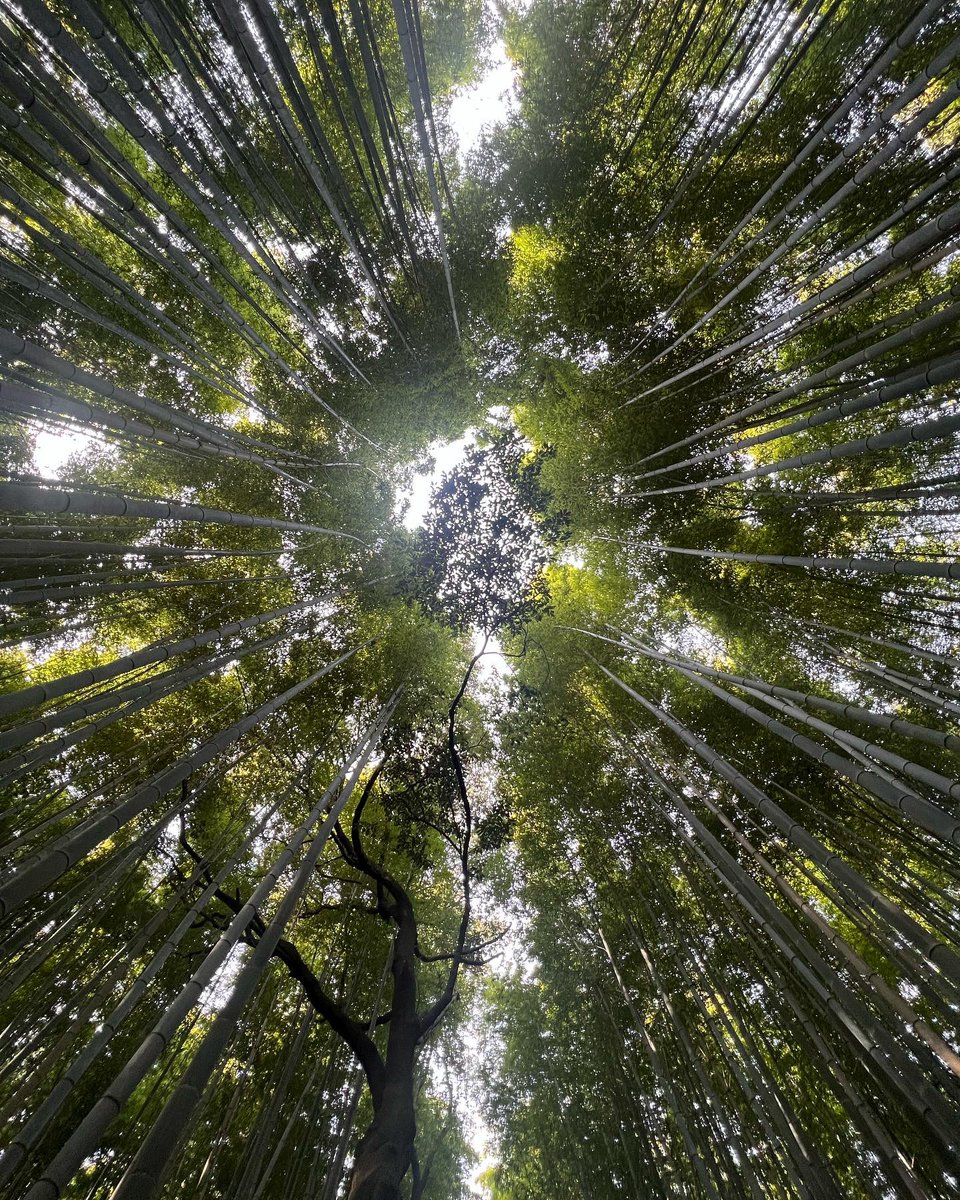 Algunas Personas aspiran  a  metas muy altas y a veces fallan, y hay muchas otras que aspiran a poco y le atinan !  @serviazgo
@compartamosbancomx  #compartamos 
@gentera_mx  #Gentera 
@comunidadcompartamos 
@fundacioncompartamosmx
https:facebook.com/CompartamosBan…
@imancillas15