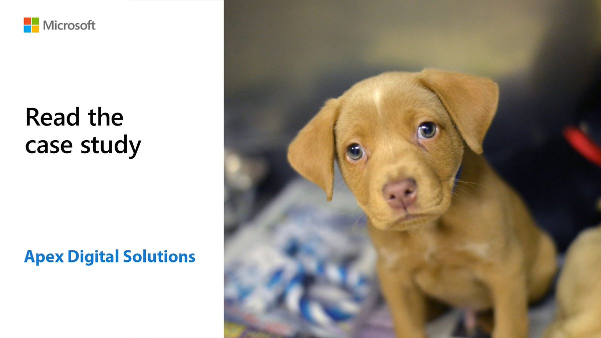 Learn how Ignite for #MicrosoftTeams from <a href="/ApexEmpowers/">Apex Digital Solutions</a> provides reliable and seamless communication across sites for @Mhumane aka.ms/AAkabh0
