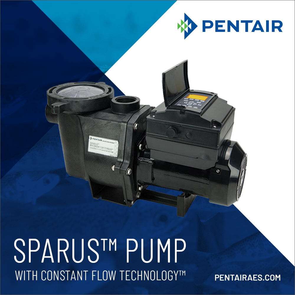This week, we're featuring the Sparus™ Pump With Constant Flow Technology -- the world’s first aquaculture duty pump to deliver a CONSTANT user-defined flow rate.

SHOP NOW: bit.ly/3zMzotI

#aquaculture #fishfarming #ras #waterrecirculation #fishgeek #fish #pentairaes