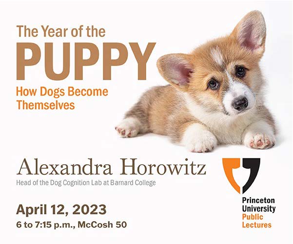 Join us this Wednesday! 
<a href="/DogUmwelt/">Alexandra Horowitz</a> will be at Princeton to talk about her latest book and year-long research looking at the world from a puppy's point of view!
Visit lectures.princeton.edu for more details.
