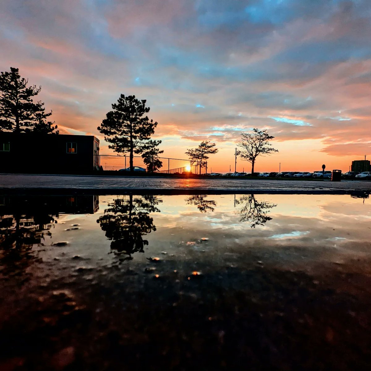 #sunset