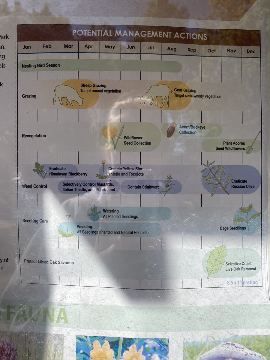 utopia4sharing's tweet image. Walk with Devin