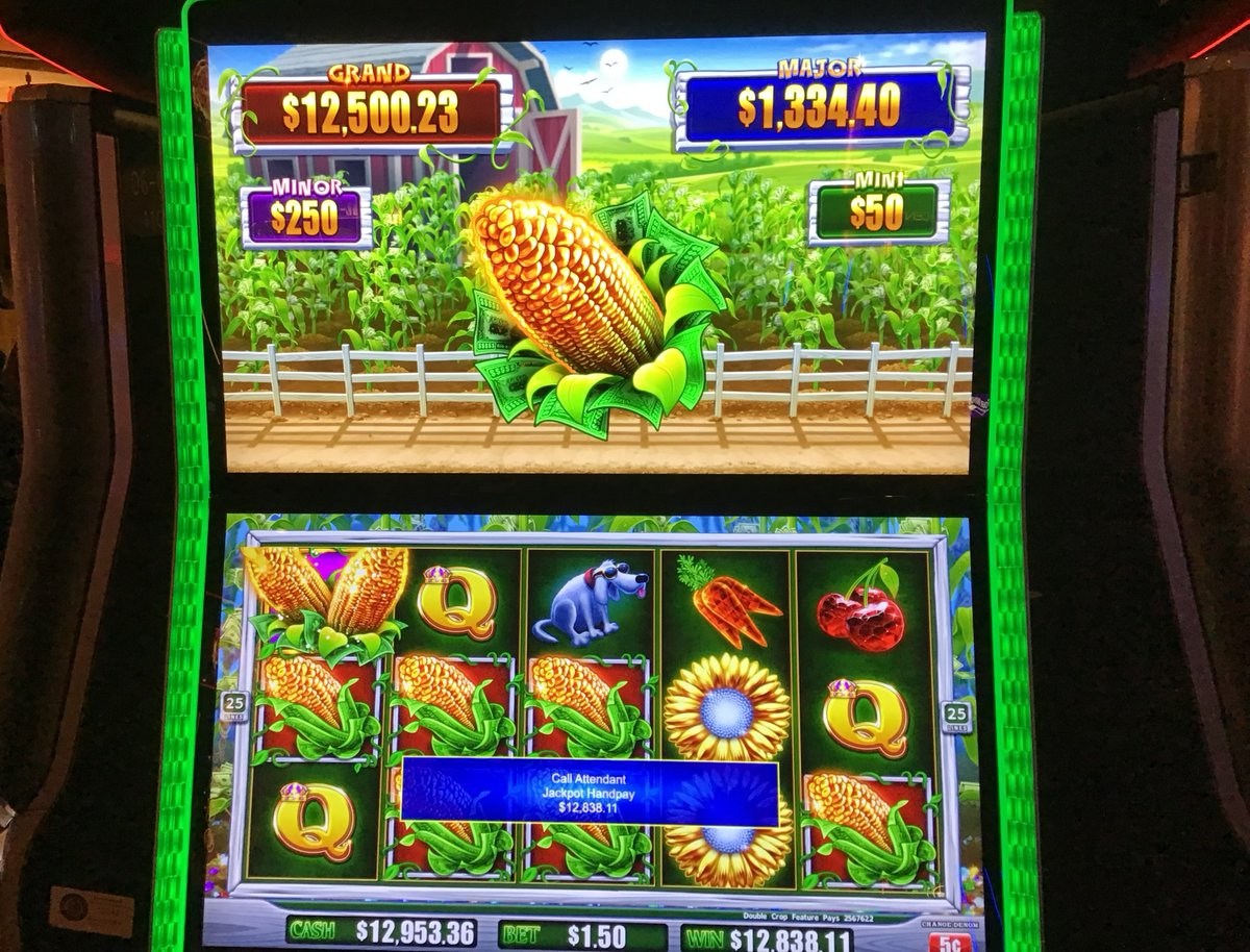 FourWindsCasino's tweet photo. π€ Friday Night wins in New Buffalo! π€
#Jackpot #WinningAtFourWinds https://t.co/uZ1cciWX4t