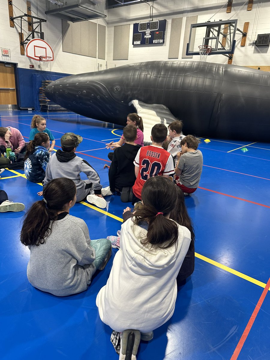 4KinneySSS's tweet photo. 4Ki students got up close and personal with Nile the humpback whale this morning. Thank you @summerstreetpto for sponsoring this interesting enrichment program! @CroninSummerSt https://t.co/Nq095ZNYR6