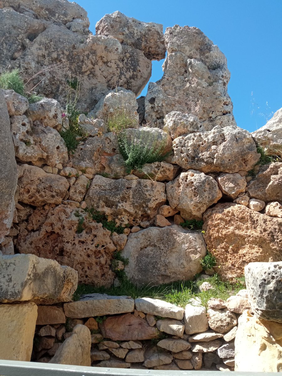 #Ġgantija temples were built between 3600 and 3200 BCE. Each temple consists of a number of apses flanking a central corridor, forming a typical clover-leaf shape.
#ĠgantijaTemples
#Xaghra 
#Gozo
#Malta 
#AncientCivilization
#Neolithic
#NewStoneAge