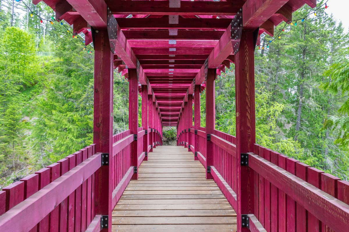 There's a new tour available to take you on a forest bathing journey along the Kaslo River Trail:  nklt.travel/DownloadToday