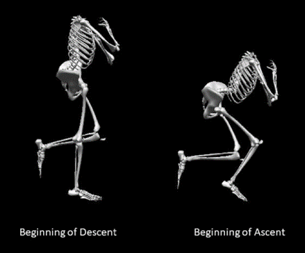 Single-leg squat mechanics are similar in softball players with and without upper extremity injury #OrthoTwitter

Read it here #OpenAccess ! 
ow.ly/3XR950Nn7hX