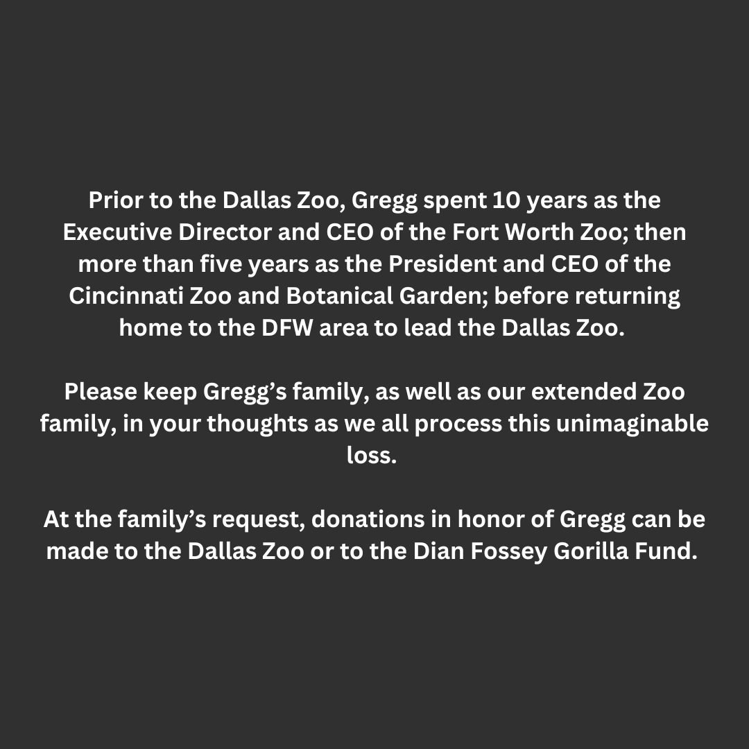 Dallas Zoo tweet media