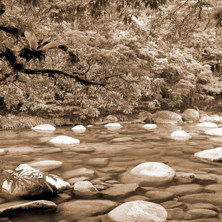 THUND3RTHOR's tweet image. ทศปลีกวิเวกออกฝึกฝนกระบี่แต่เพียงผู้เดียว ณ ธารน้ำทิพย์
        เสียงกร่อบแกร่บเพียงเล็กน้อยทำเอาเสียสติ  กระบี่หันเข้าจ่อลำคอ  โอ้ . . เป็นเจ้า  ? 

       ` นึกหน่ายนัก . . หยิบกระบี่ขึ้นมา  ประมือกับข้าเสีย  ชนะหรือไม่ข้าย่อมมีค่าเสียเพลาให้  สักสี่เบี้ยพอหรือไม่ `
 
/