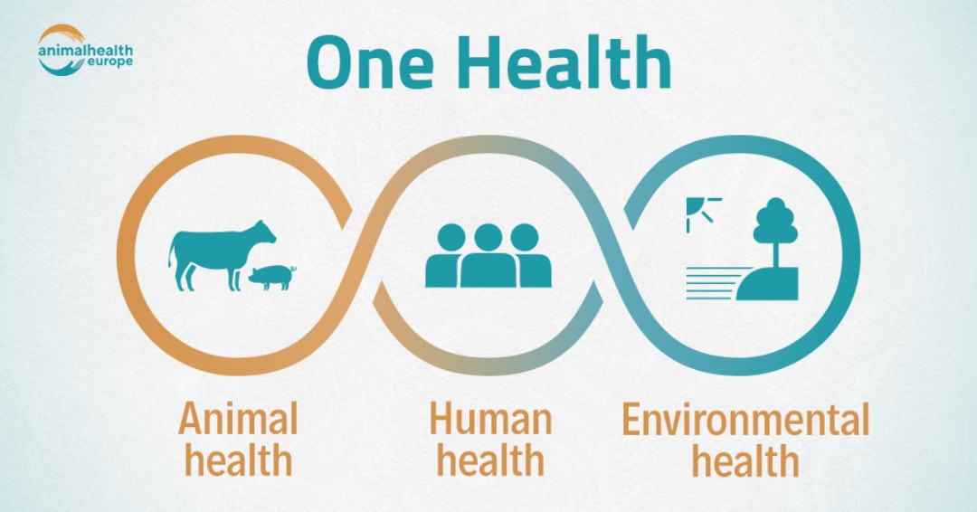 #IYKYK Do you have some colleagues late to the party who still don't understand the importance of #OneHealth? Check it: ow.ly/cq7l50NEEIT