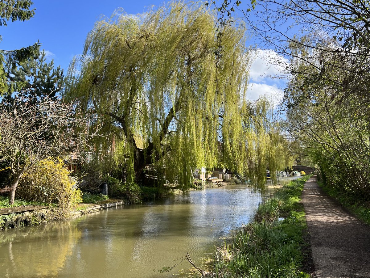 Alex Geurds tweet media