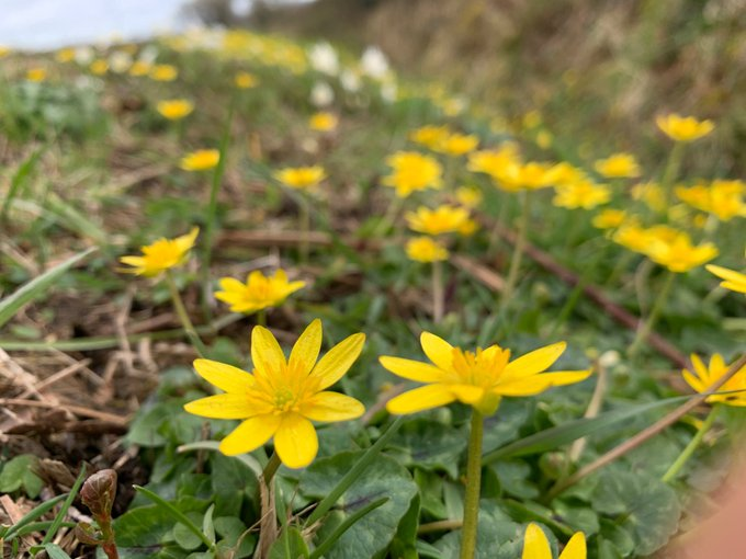 John McDonnell 🏴󠁧󠁢󠁥󠁮󠁧󠁿🇺🇦🇮🇱 tweet media