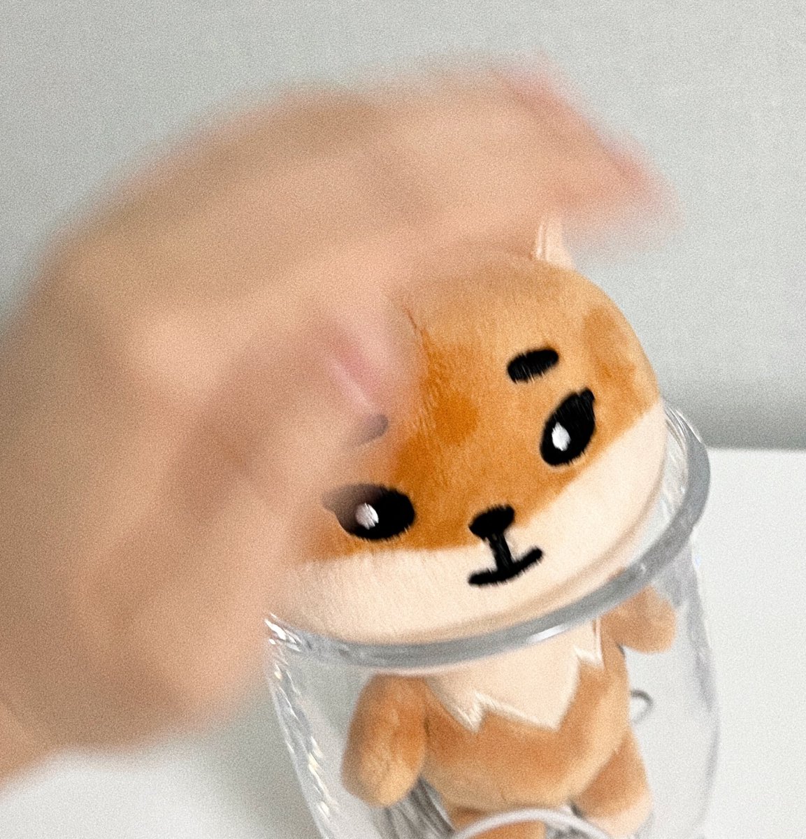 고먐이머리 박박 쓰다듬기 ...
전역 축하해요 아기야 ｡｡｡ෆ
#영케이_이즈_백 
#Welcome_Home_YoungK