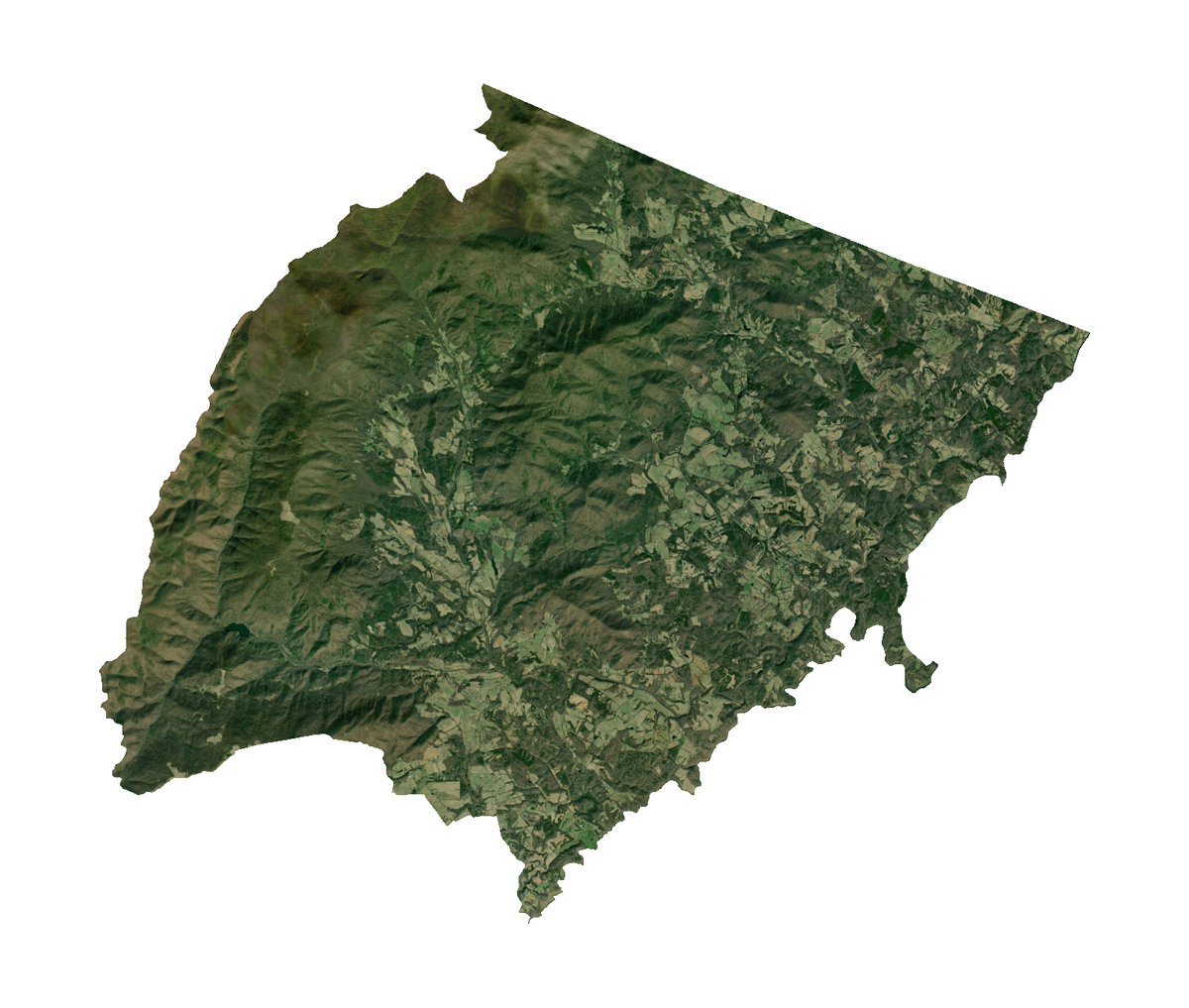 everytract's tweet photo. Census Tract 101, Albemarle County, Virginia https://t.co/4jfMqzA3u4