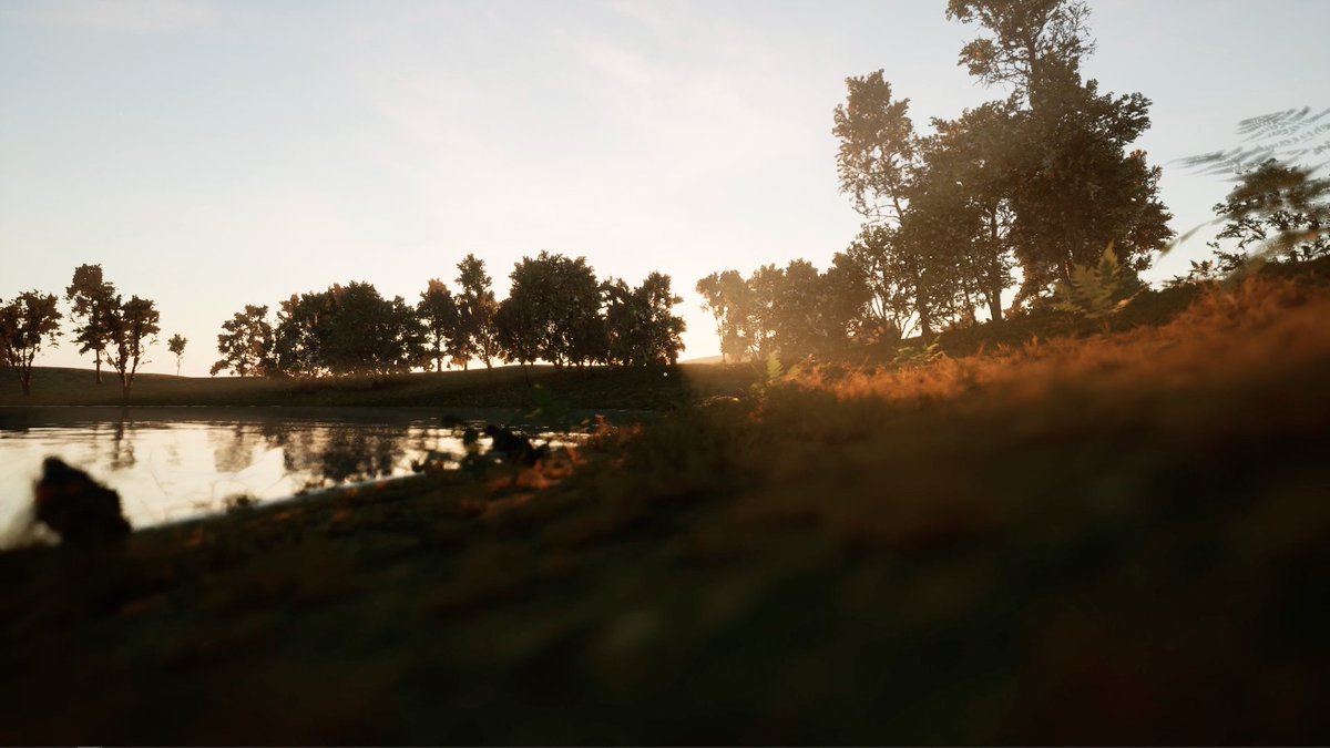 MadaliaWorld's tweet photo. This enchanting spot in Madalia World is the perfect place to escape from the hustle and bustle of daily life and immerse yourself in a world of beauty and wonder. 

Madalia World is a true feast for the senses, offering endless opportunities to explore, discover, and connect. 🌳 https://t.co/Sm6fhMKMqH