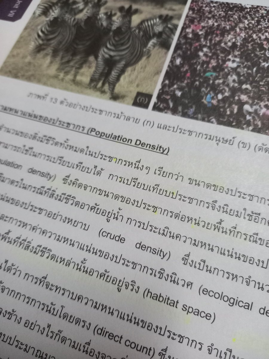 stdp1mw's tweet image. 10/04/66

วันนี้วันเกิด ได้ซื้อหนังสือด้วย แล้วก็อ่านชีวะไปนิดเดียว ไม่ค่อยมีสมาธิเลย (⁠˘⁠･⁠_⁠･⁠˘⁠)