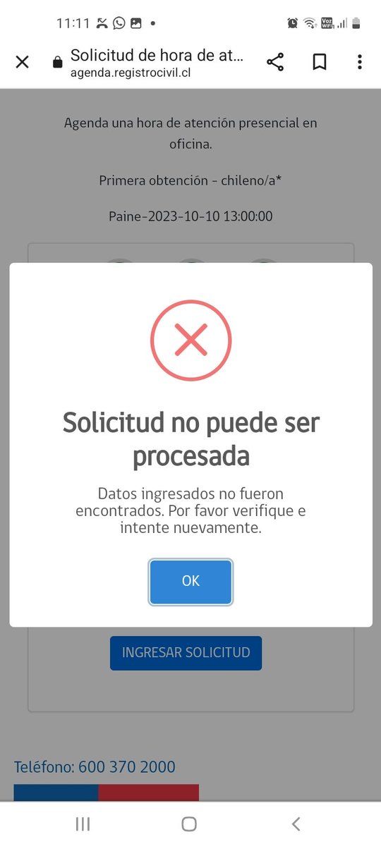 Cata Gutiérrez tweet media