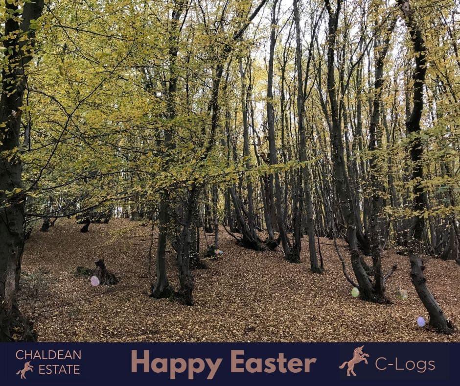 Sending Easter Wishes from all at Chaldean 

Chaldean Estate  C-Logs: selling hardwood logs  C-Storage  #chaldeanestate #hertfordshire #eastertime