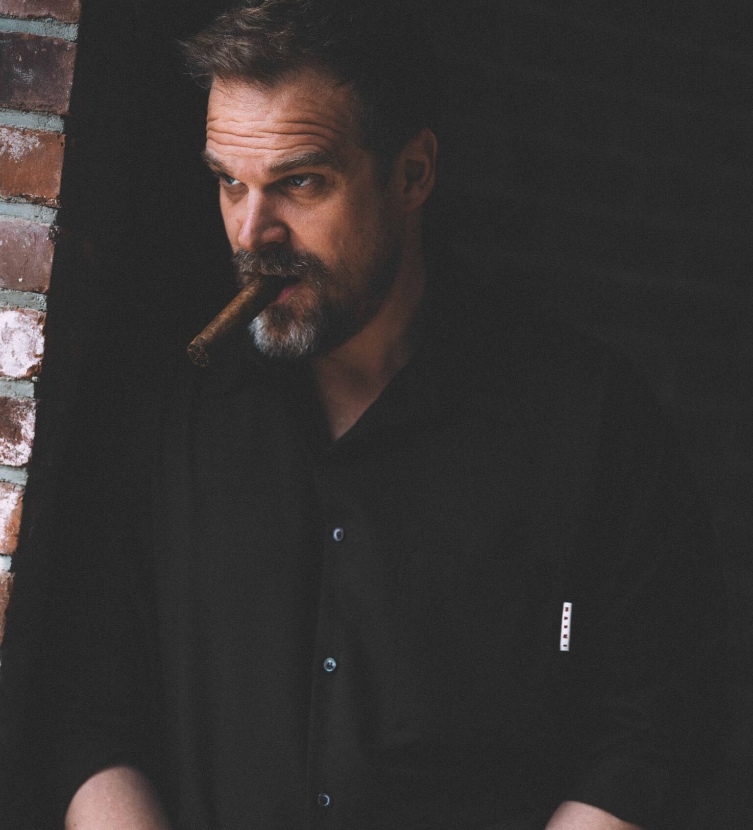 Happy birthday, David Harbour! 