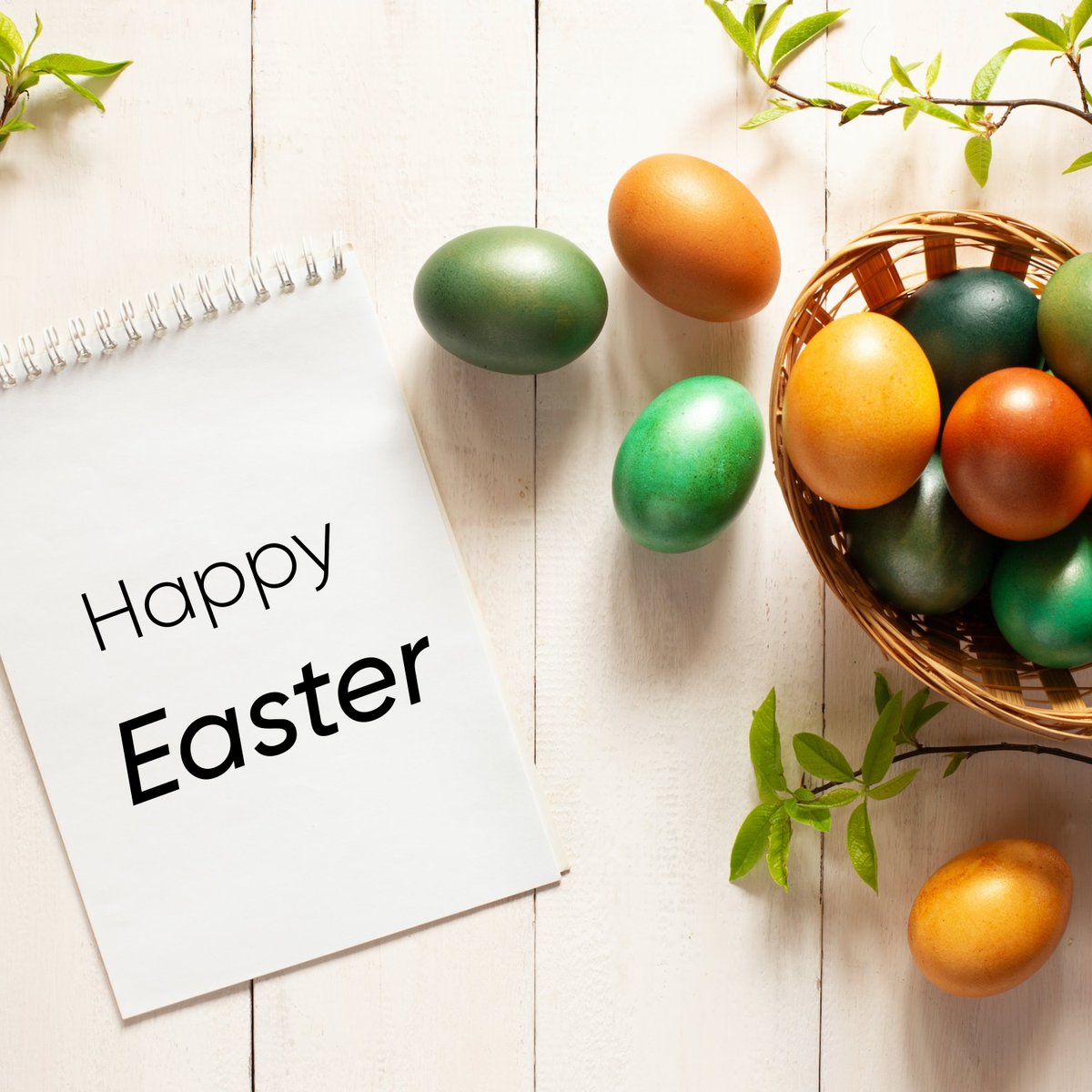 Es ist Ostern!!! Das schreit nach einer Ostereiersuche 🪺🪺 und dem totalen Familienspass 🥳
Geniesse den Tag mit unserem Hausdienstleistungen, das dir alle Aufgaben abnimmt, damit du dich auf das Fest mit deiner Familie konzentrieren kannst.

#happyeaster #easter #eastereggs