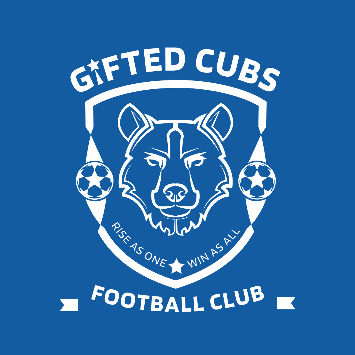 OmutoFoundation's tweet photo. "Exciting news! Imac Entreprises contributes to the rebranding of Omuto Foundation's Gifted Cubs Program. Join us in empowering young athletes and promoting sportsmanship in our community. #OmutoFoundation #GiftedCubsProgram #SportsForAll 📢" https://t.co/x9u9sDloXa