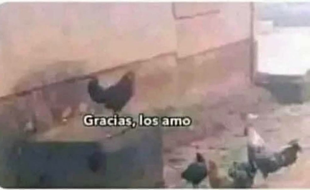 273Clearly's tweet image. Yo con mis únicos mutis q me interactúan