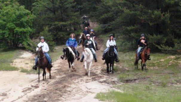 Spring is here!☀️🌾 With the nicer weather, it’s time to start getting out and hitting the trails! Here are a couple of pointers for Trail Riding Etiquette for horse and rider.🐴👇

horses.extension.org/trail-riding-e…