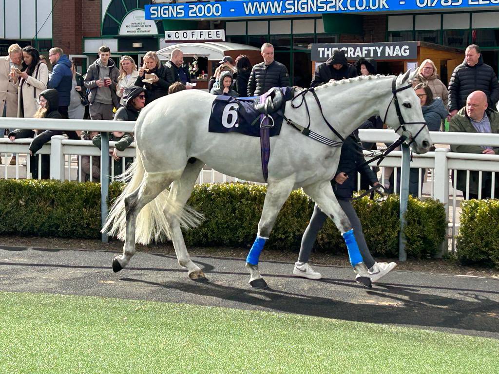 Boom 💥 Best turned out and winner @WolvesRaces Brilliantly trained after 14 months off by @ivanfurtado21. Some training performance. Given a great ride too. This guy has the will to win. 🐎💨