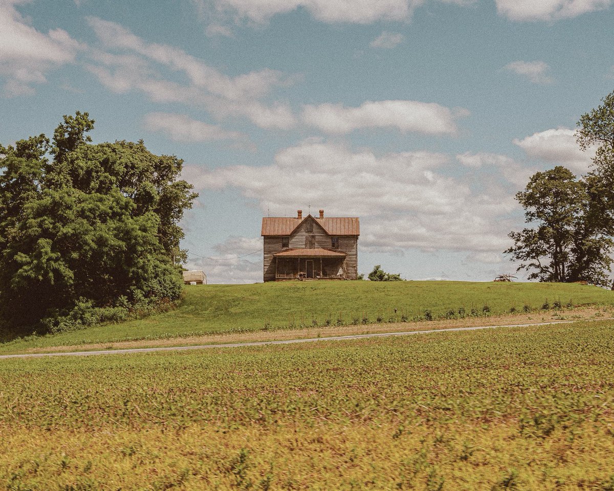inthemeadow's tweet photo. summer in the country https://t.co/ztjdgd1CpP
