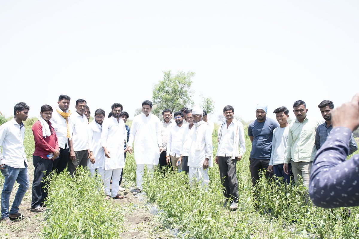 sumant_dhas's tweet photo. मुख्यमंत्री @mieknathshinde साहेब केज तालुक्यात बोरगाव,दैठणा,राजेगाव येथे गारपिटीने शेतकऱ्यांचे हाता तोंडाशी आलेले पीक मातीमोल झाले आहे,शेतकरी प्रचंड संकटात सापडला आहे,शेतकऱ्यानं हेक्टरी एक लाख रुपयांची मदत नुकसान भरपाई देऊन शेतकऱ्यांचे जीवन वाचवावे. @RajThackeray @mnsadhikrut https://t.co/X2K9NniiuQ