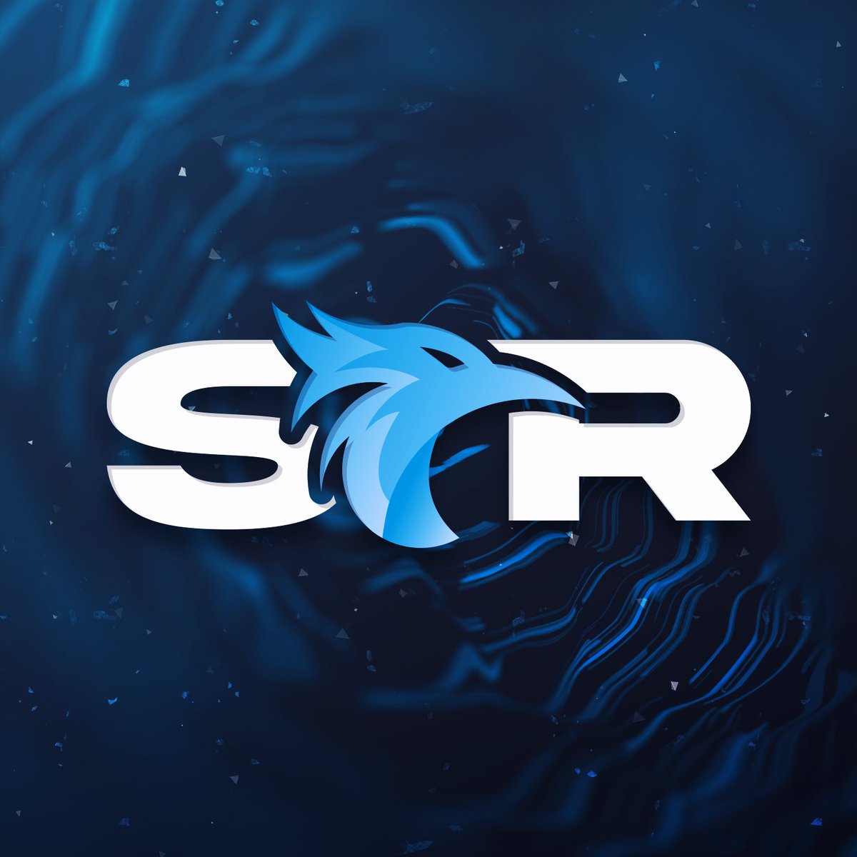 Introducing SkyRisers 
inspired by the idea of reaching new heights and pushing beyond limits.
Here at Sky Risers We want to empower gamers who have been discouraged from pursuing their passions and show them that with determination and hard work, they can achieve anything.