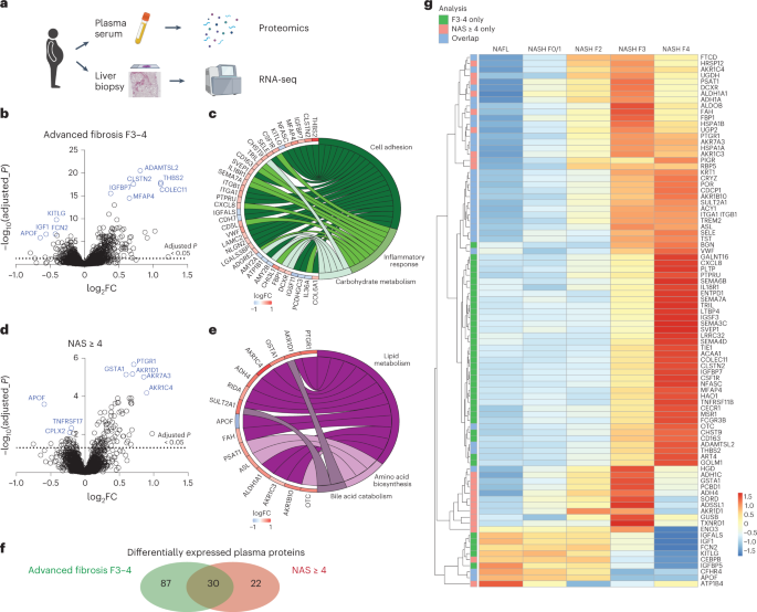 NatMetabolism's tweet image. Online now! A proteo-transcriptomic map of non-alcoholic fatty liver disease signatures dlvr.it/SmGQjz