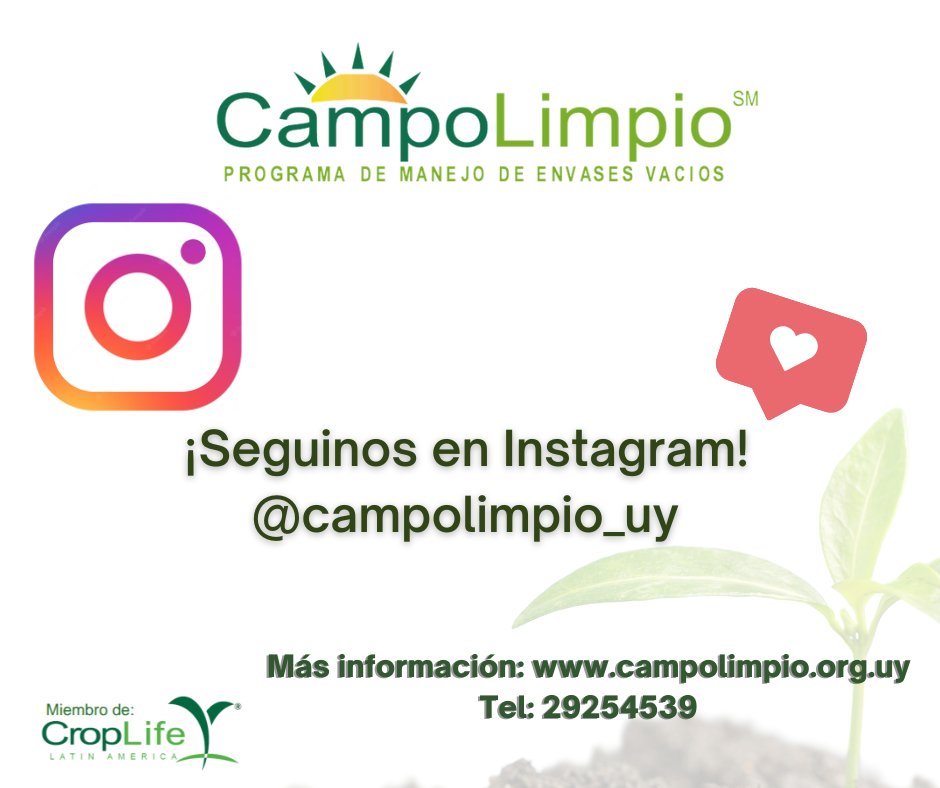 ¿Te enteraste? #CampoLimpio 🇺🇾 llegó a #instagram instagram.com/campolimpio_uy/

Seguinos ⬆️⬆️ y enterate de todas nuestras novedades también a través de esa red. ♻️🌱

#esfuerzocompartidobeneficioparatodos
#campolimpiouruguay ♻️