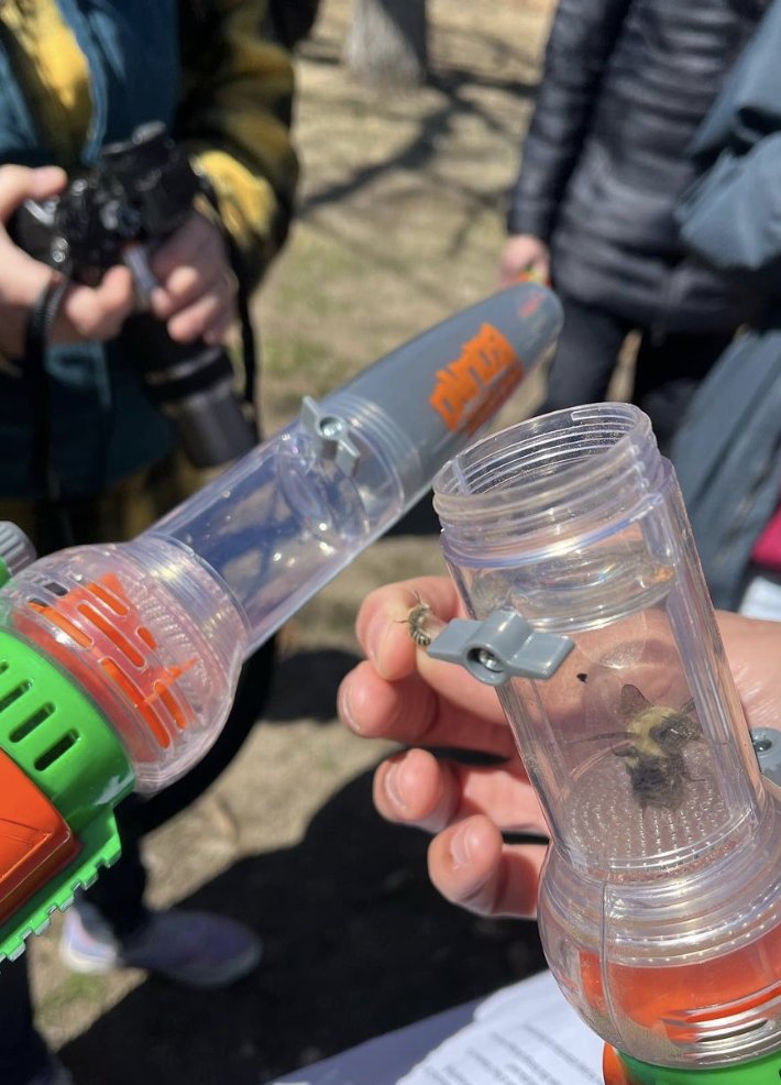 Tufts Pollinator Initiative tweet media