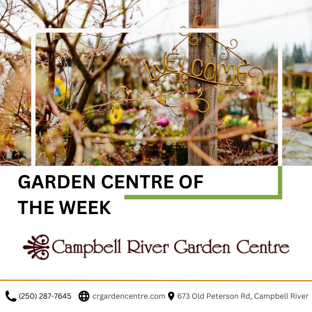 Plant Something Together tweet media