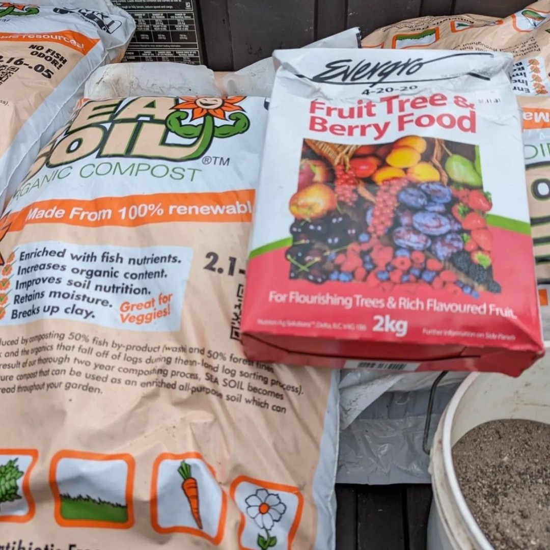 Plant Something Together tweet media