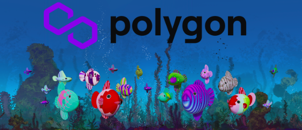 SeaCrypt's tweet photo. ๐คฏDid you know that SeaCrypt NFTs are built on the Polygon network?
Tell us about your experience with Polygon and why you think it's a great choice for NFTs! ๐
#seacryptnft #onPolygon #polygonNFT #NFTtech https://t.co/07Le14BGAC