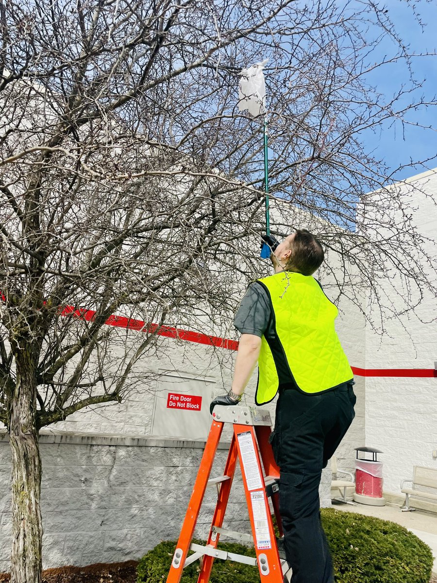 VsSullivan's tweet image. Day 1/10 of cleaning up our stores surrounding area! @Aubry33679932 and I wanted to take advantage of this nice weather to get the team out and help make our community a better place to live and work! #Earthdaymonth #volunteer #673cares #G195CARES @aleahmarie19 @TGT_Angel