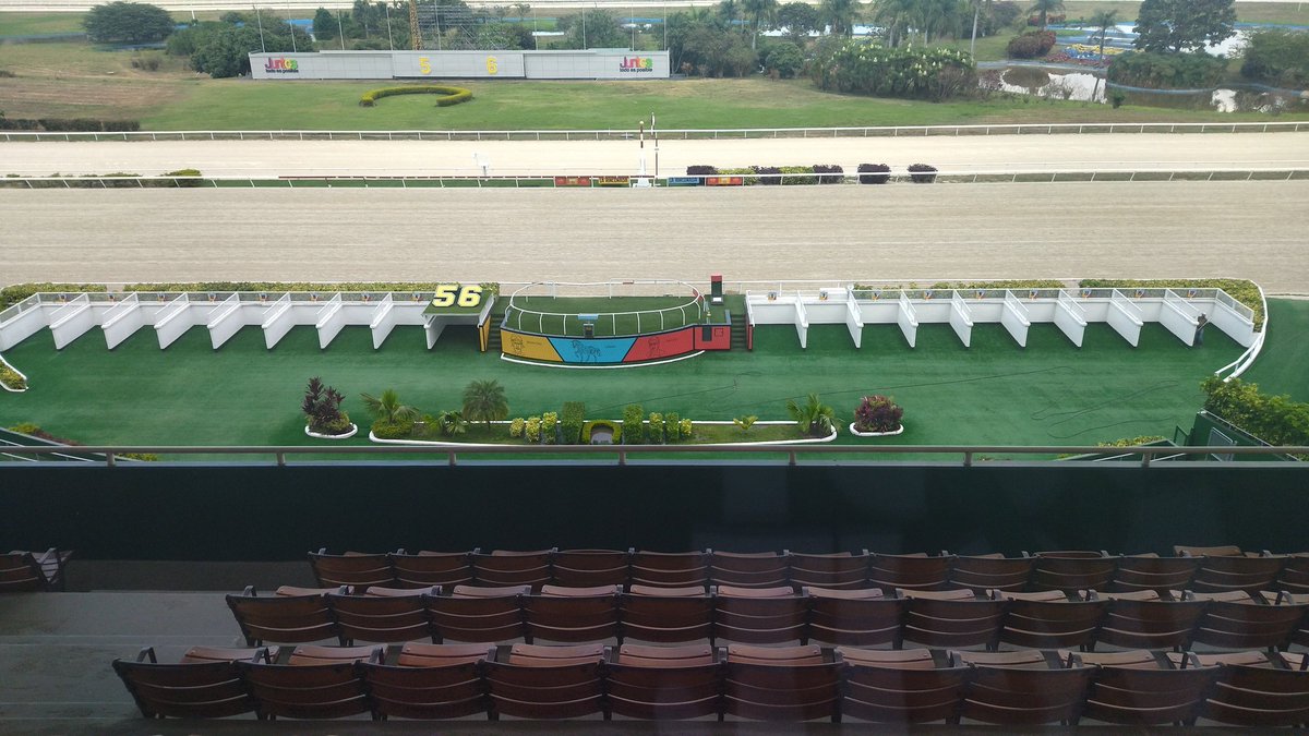 PedroRojas_56's tweet image. #hipismo #hipico #Larinconada #carreras #competencias #ovalo #5y6 
Reunión #14 se van a disputar 11 competencias en el principal ovalo del país La Rinconada sin pruebas de corte selectivo.